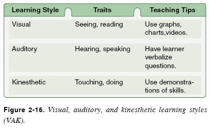 kinesthetic learning style