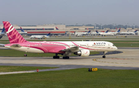 Delta Aircraft Pink- Photo